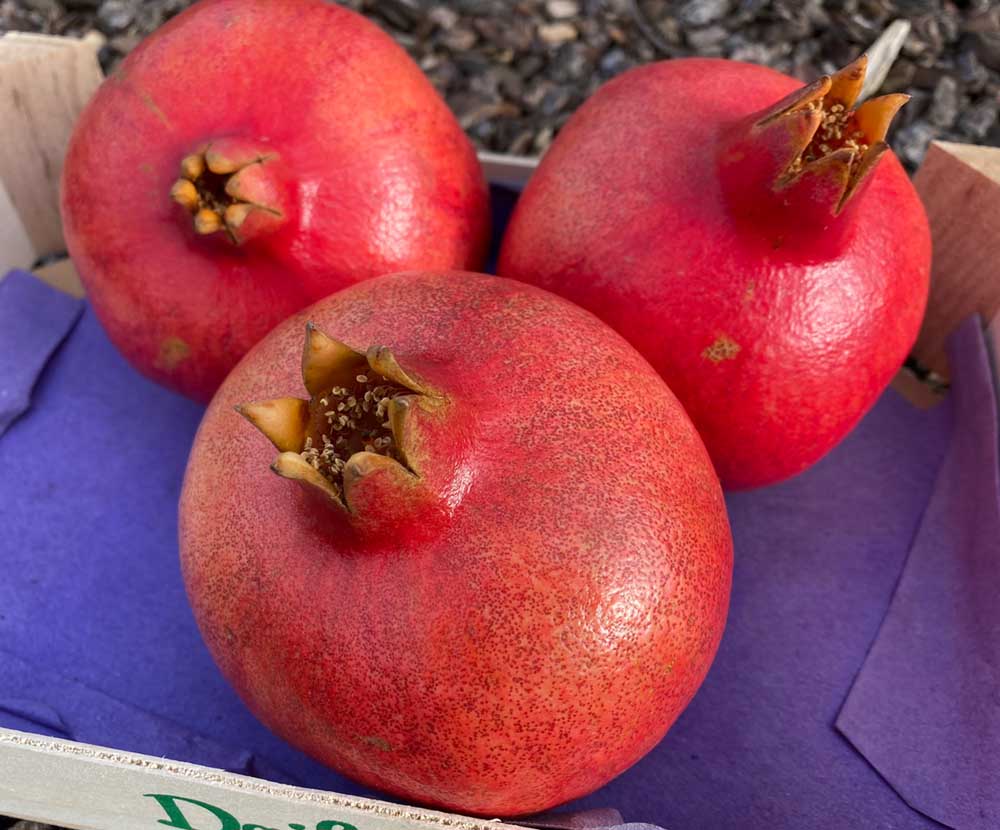 The Power of Pomegranate: Unveiling Its Health Benefits