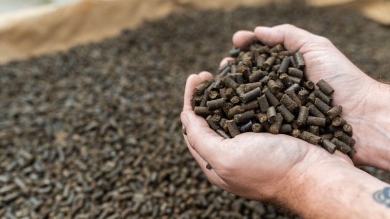 Importance of using granular cow and horse manure fruit and vegetable growing. Importance of using granular cow and horse manure fruit and vegetable growing.