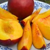 Nectarine (Prunus persica var. nucipersica) BIG TOP