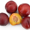 Nektarinka (Prunus persica var. nucipersica) HARCO
