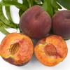 Broskyňa (Prunus persica) ROYAL GEM