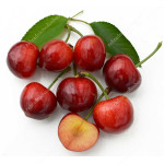 Süßkirsche (Prunus avium) TAMARA®