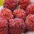 Che, Chinese Mulberry, Mandarin Melon Berry