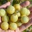 Gooseberries