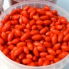 Goji (Lycium barbarum) No.1 LIFEBERRY®