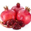Pomegranate (Punica granatum) ACCO