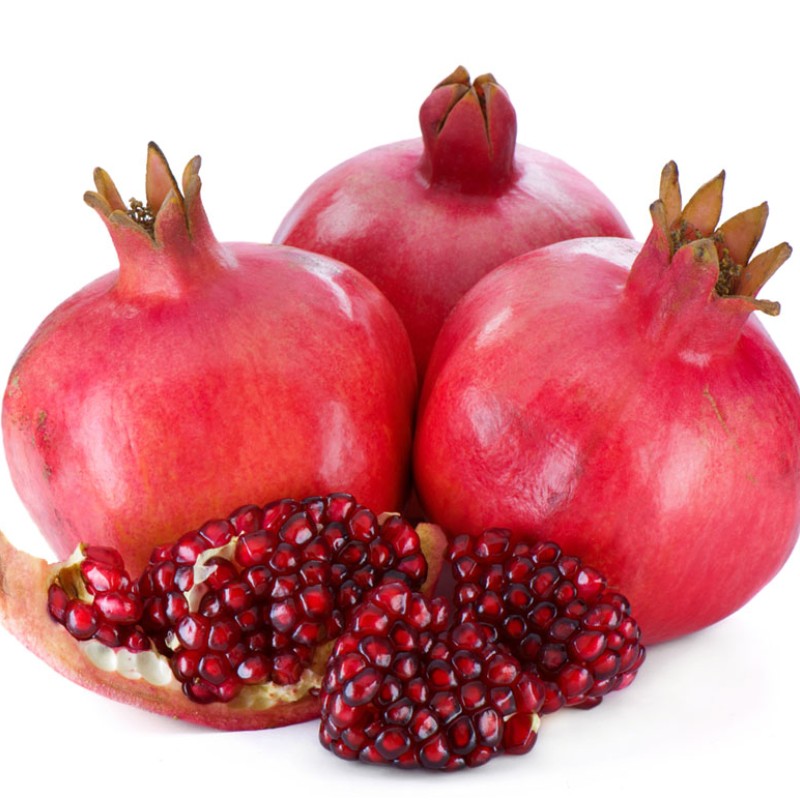 Pomegranate (Punica granatum) ACCO