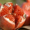 Granátové jablko (Punica granatum) KAZAKE