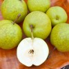 Nashi - Japonská hruška (Pyrus pyrifolia) HAYATAMA