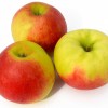 Jabloň stĺpová (Malus domestica) ARBAT