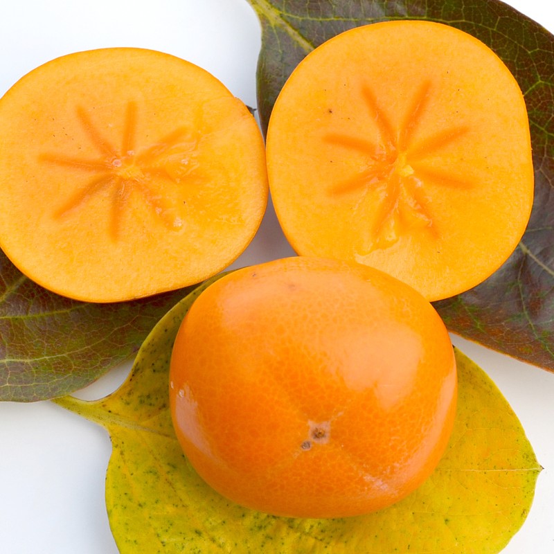 Hurmi Kaki (Diospyros kaki) FUYU