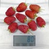 Raspberry (Rubus idaeus) ANFISA