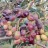Hardy Olive
