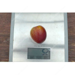 Apricot x Cherry APRIKYRA