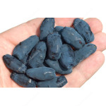 Blaubeere (Lonicera caerulea) JUGANA®