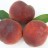 Peach and Nectarine Trees