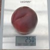 Broskyňa (Prunus persica) ROYAL GEM