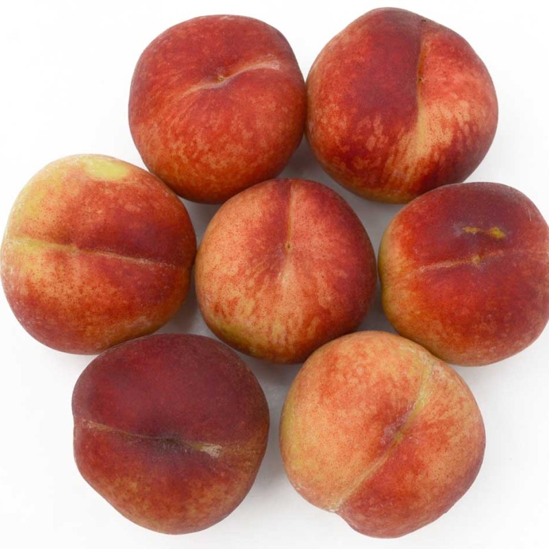 Columnar Peach (Prunus persica) CAMPANILO