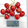 Sweet Cherry (Prunus avium) SABRINA®