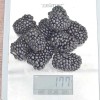 Černica (Rubus fruticosus) TRIPLE CROWN