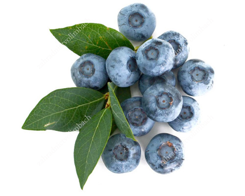 Blueberry (Vaccinium corymbosum) SIERRA