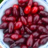 Cornelian Cherry Dogwood (Cornus mas) BOLESTRASZYCKI®