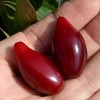 Cornelian Cherry Dogwood (Cornus mas) LUKYANOVSKY