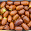Jujuba - Čínske datle (Ziziphus jujuba) CHUN