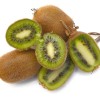 Kiwi (Actinidia deliciosa) JENNY