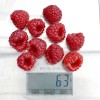 Malina (Rubus idaeus) RUBYFALL(S)