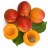 Apricot Trees